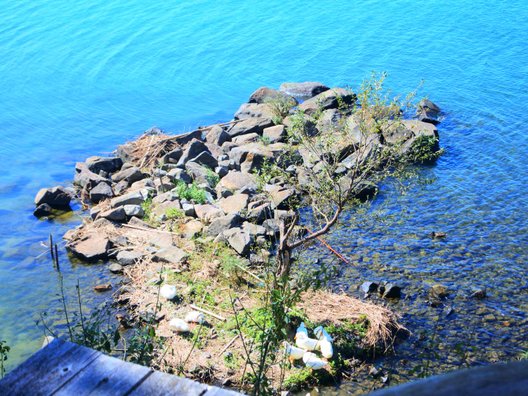 シャーレ水ヶ浜