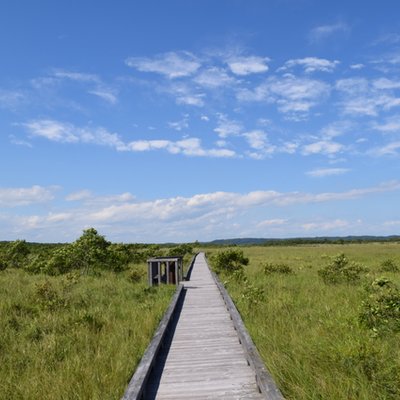 釧路湿原国立公園細岡展望台