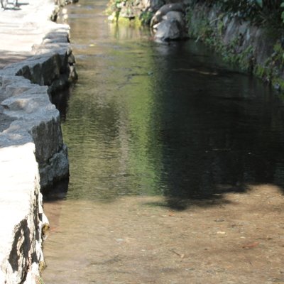 お鷹の道・真姿の池湧水群