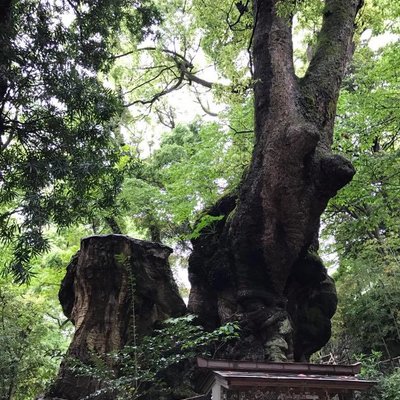 来宮神社