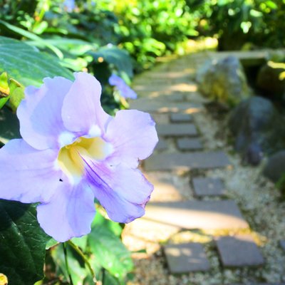 神戸布引ハーブ園