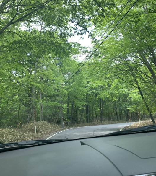 栃木県 県民の森