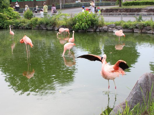 東武動物公園