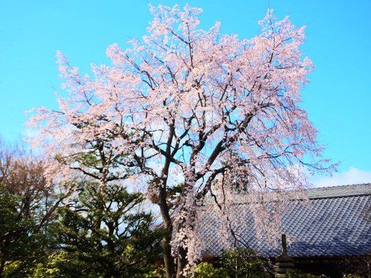 相国寺