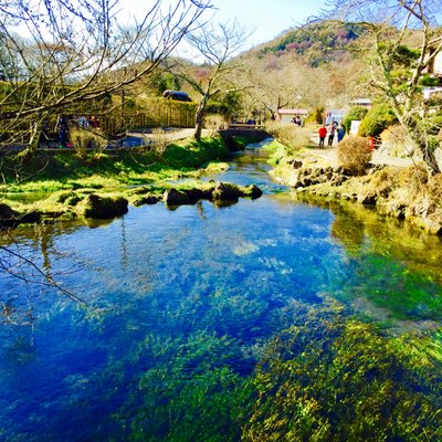 忍野八海