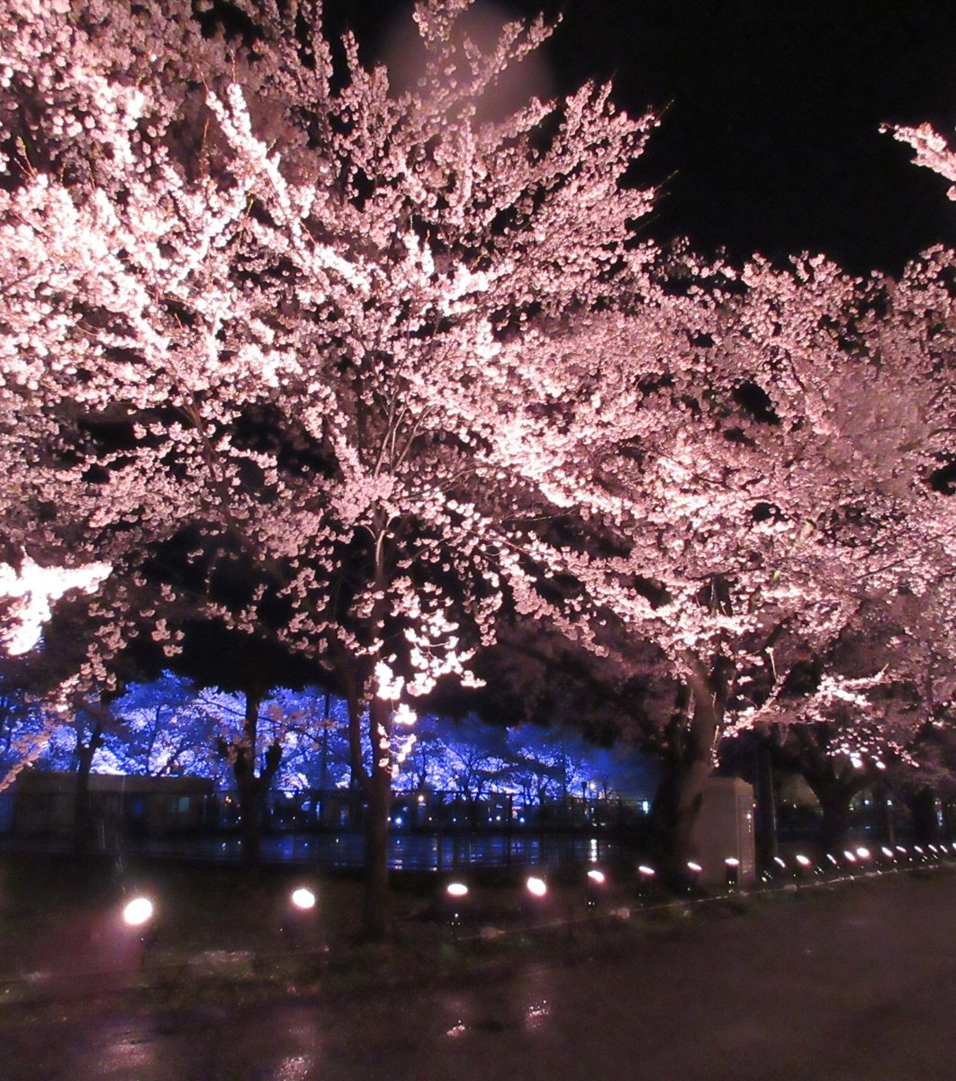 高田公園