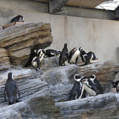 サンシャイン水族館