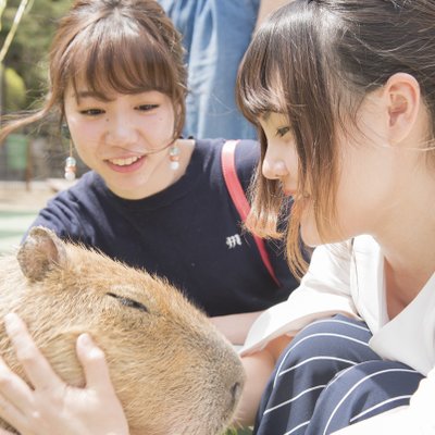 伊豆シャボテン動物公園