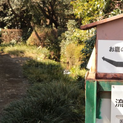 お鷹の道・真姿の池湧水群