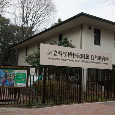 国立科学博物館附属自然教育園