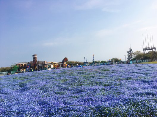 長井海の手公園ソレイユの丘