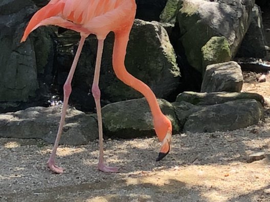 到津の森公園