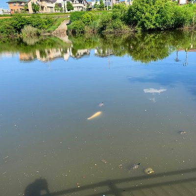 坪井近隣公園