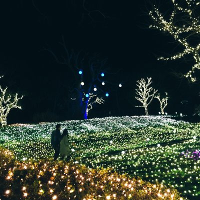 江の島シーキャンドル(展望灯台)