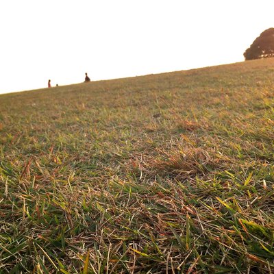 国営ひたち海浜公園