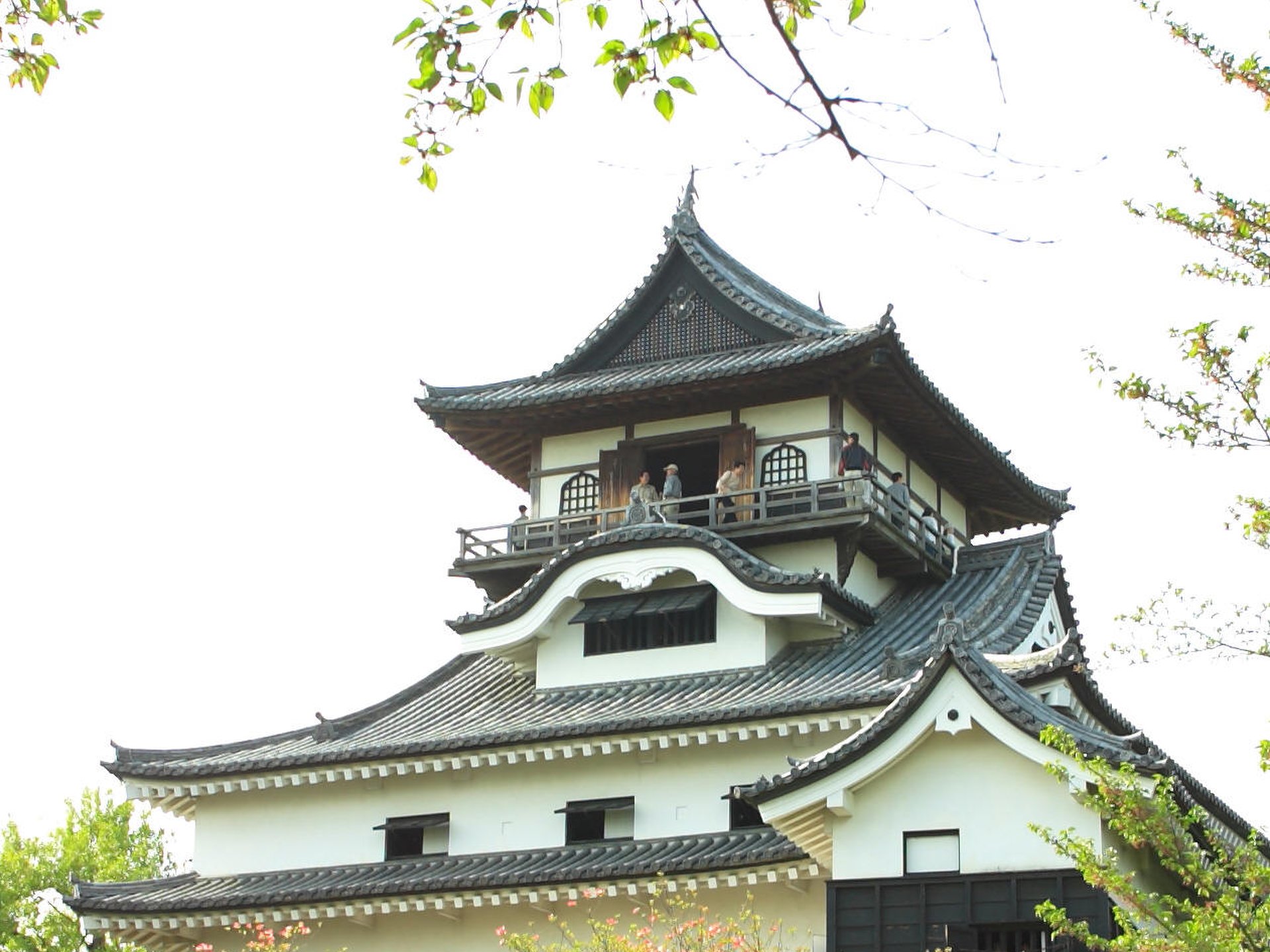 犬山 桃太郎神社と日本モンキーセンター、パブレスト百万ドル、珍百景の旅！【犬山城、有楽苑】
