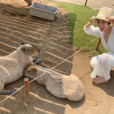 ふれあい動物村 (ソレイユの丘)