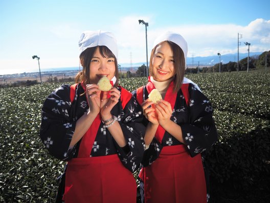 ぐり茶の五十鈴園（鈴木さんのお茶畑）