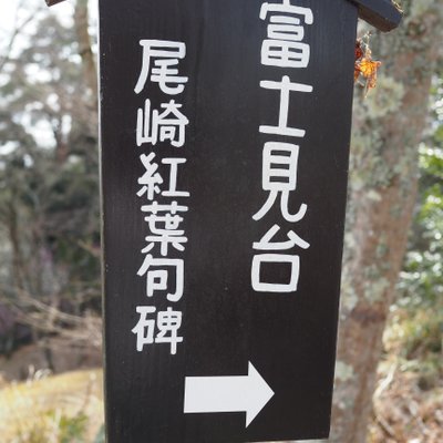 修善寺自然公園