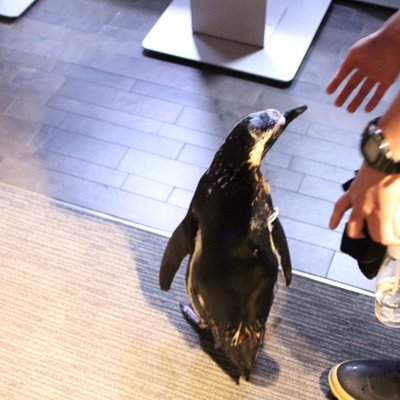 すみだ水族館