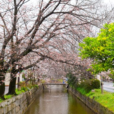 玉串川