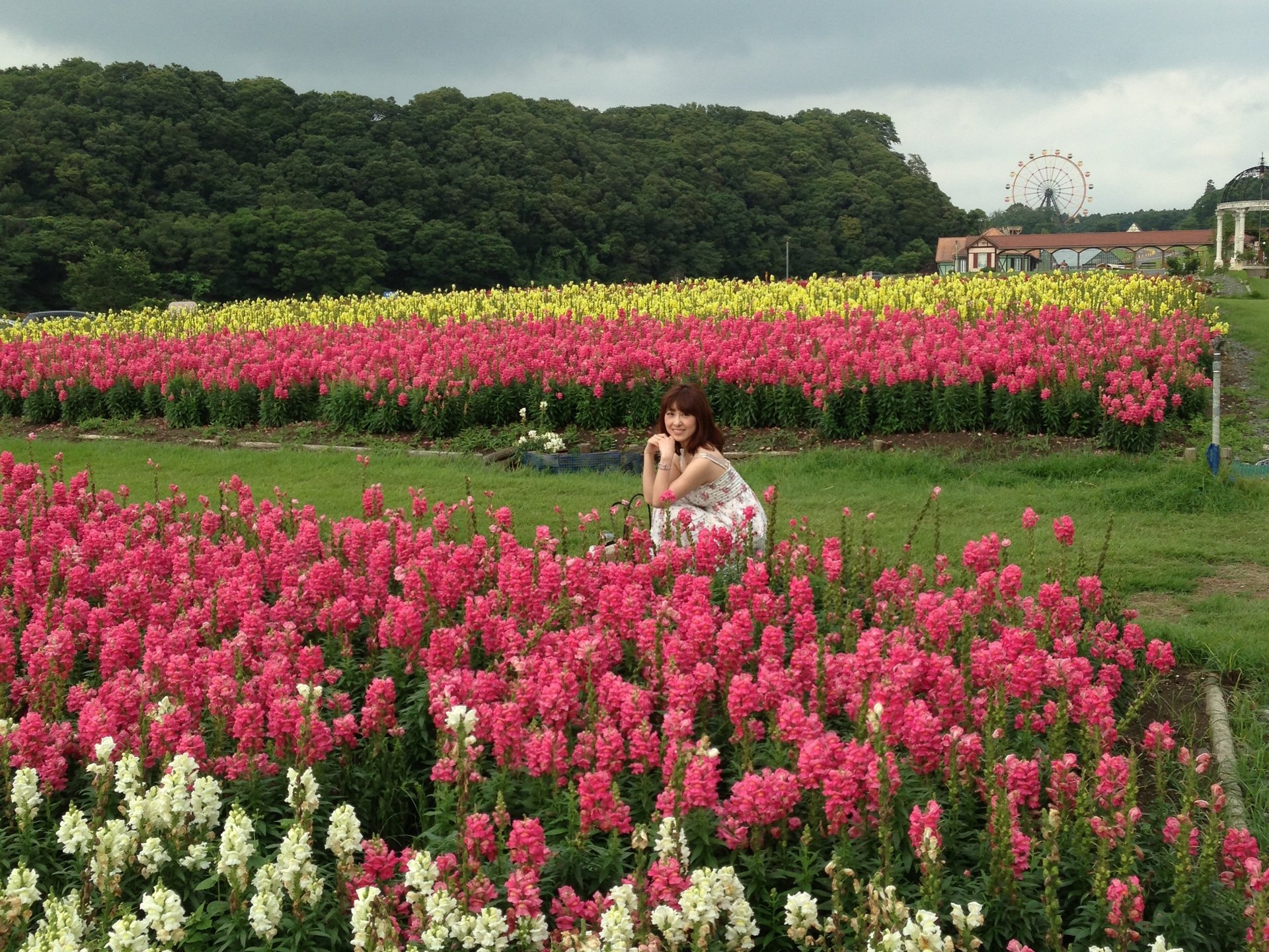 【関東で自然いっぱいのおすすめ日帰り穴場デートスポット「東京ドイツ村」】お花畑と動物と芝滑りの公園
