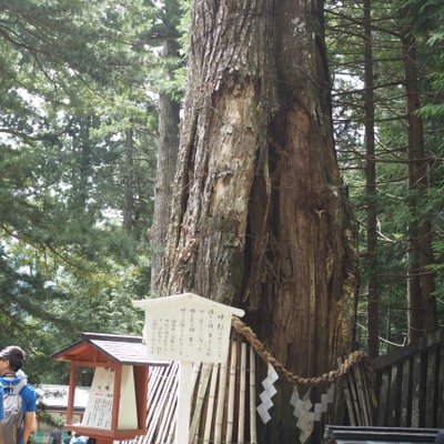 日光東照宮 奥社宝塔