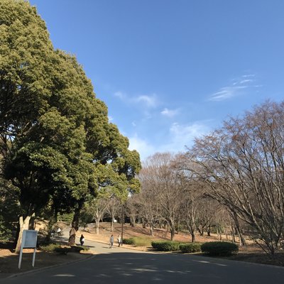 代々木公園