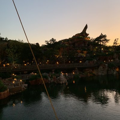 東京ディズニーランド(c)