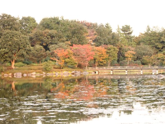 国営昭和記念公園 日本庭園