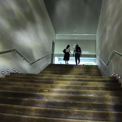 すみだ水族館