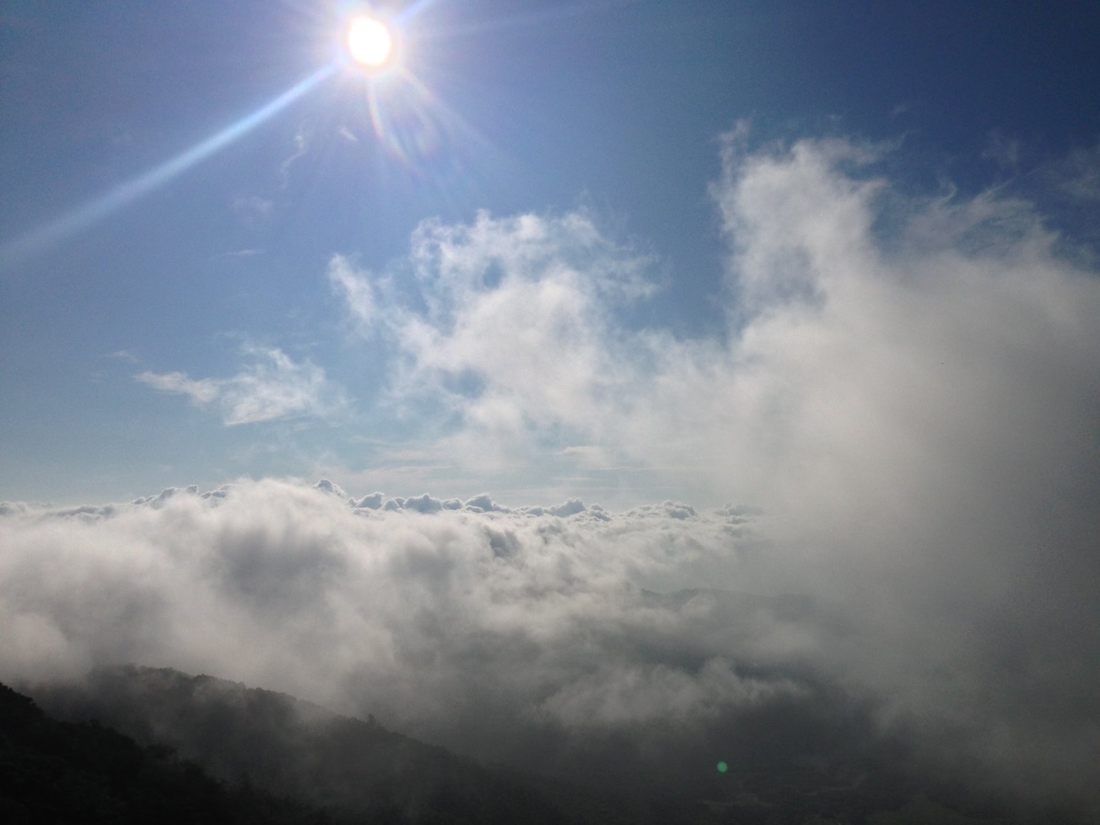 雲海テラス