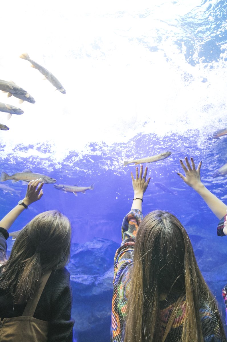 北の大地の水族館(山の水族館)