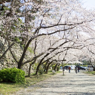 大濠公園