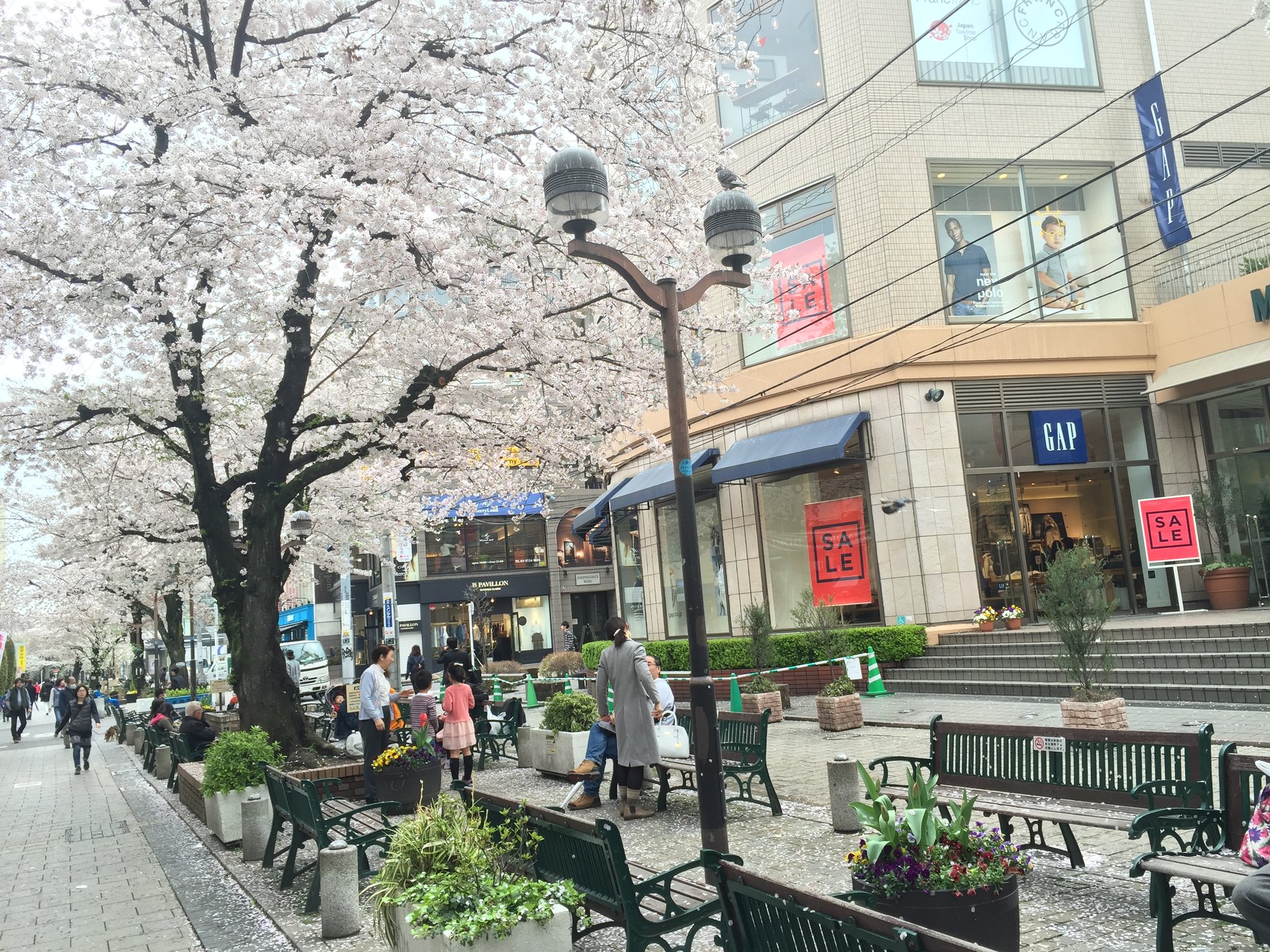 九品仏川緑道