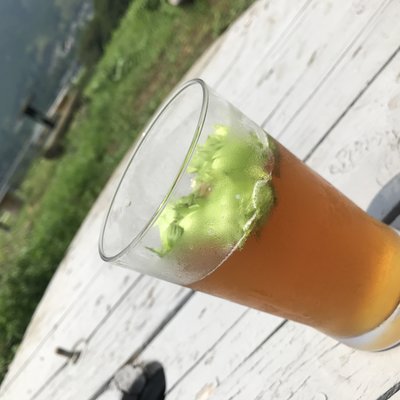 フジヤマハンターズビール 柚野テイスティングルーム (醸造所)