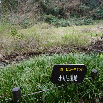 国立科学博物館附属自然教育園