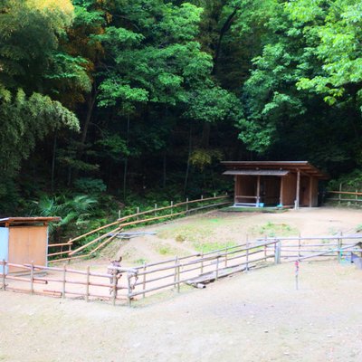 神勝寺 禅と庭のミュージアム