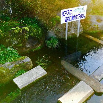 忍野八海