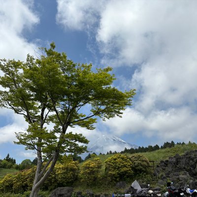 富士山こどもの国