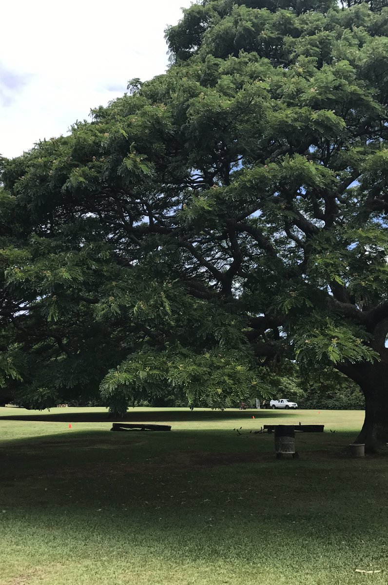 Moanalua garden