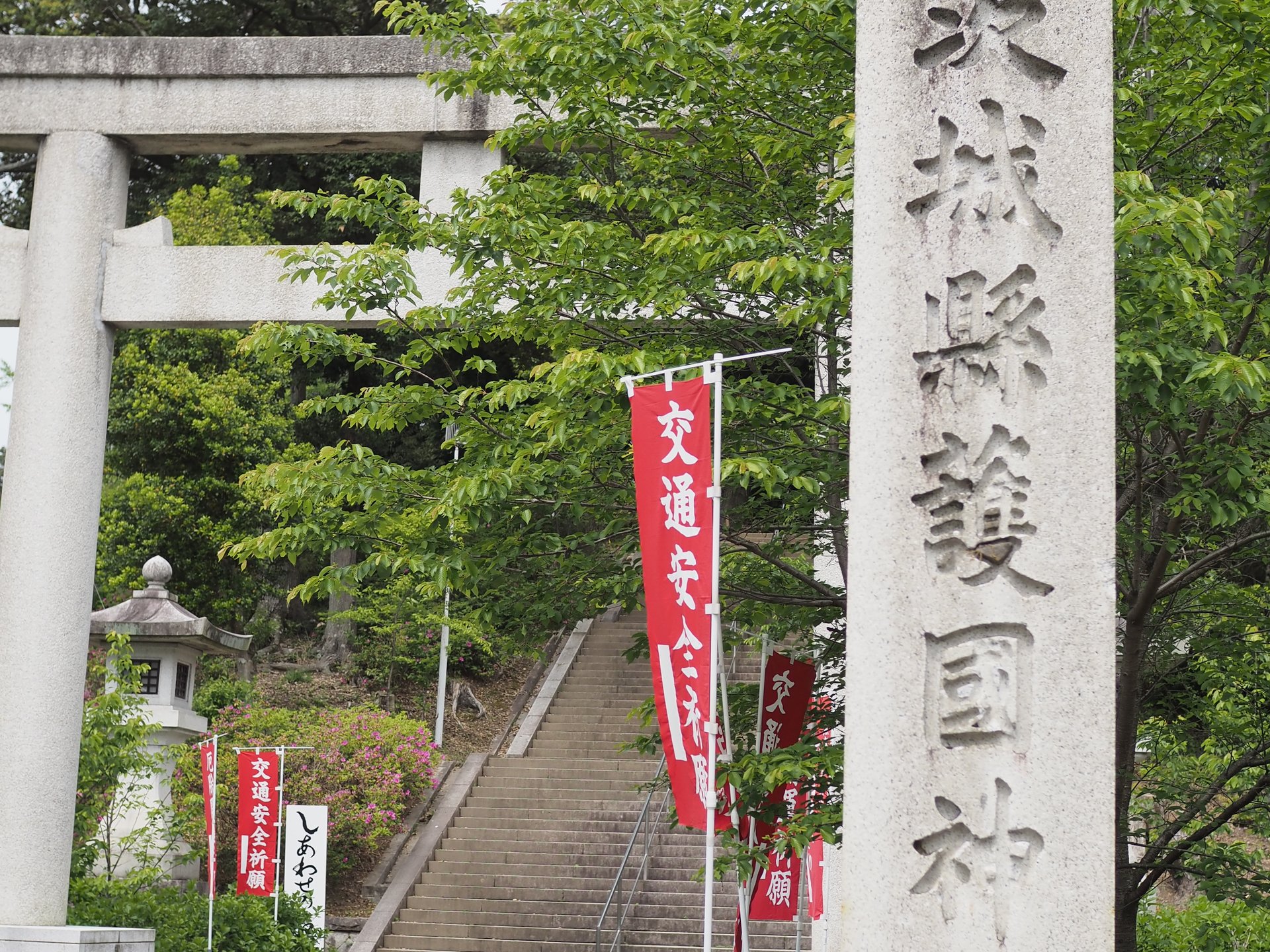【茨城・水戸】偕楽園の側にありますが、こちらは桜が有名です！茨城縣護国神社♪