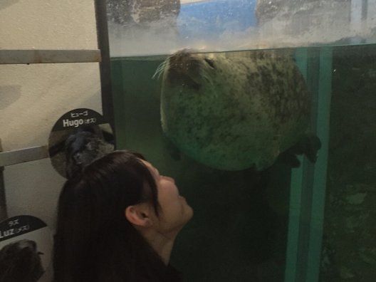 京都水族館