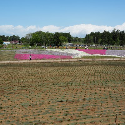 富田さとにわ耕園