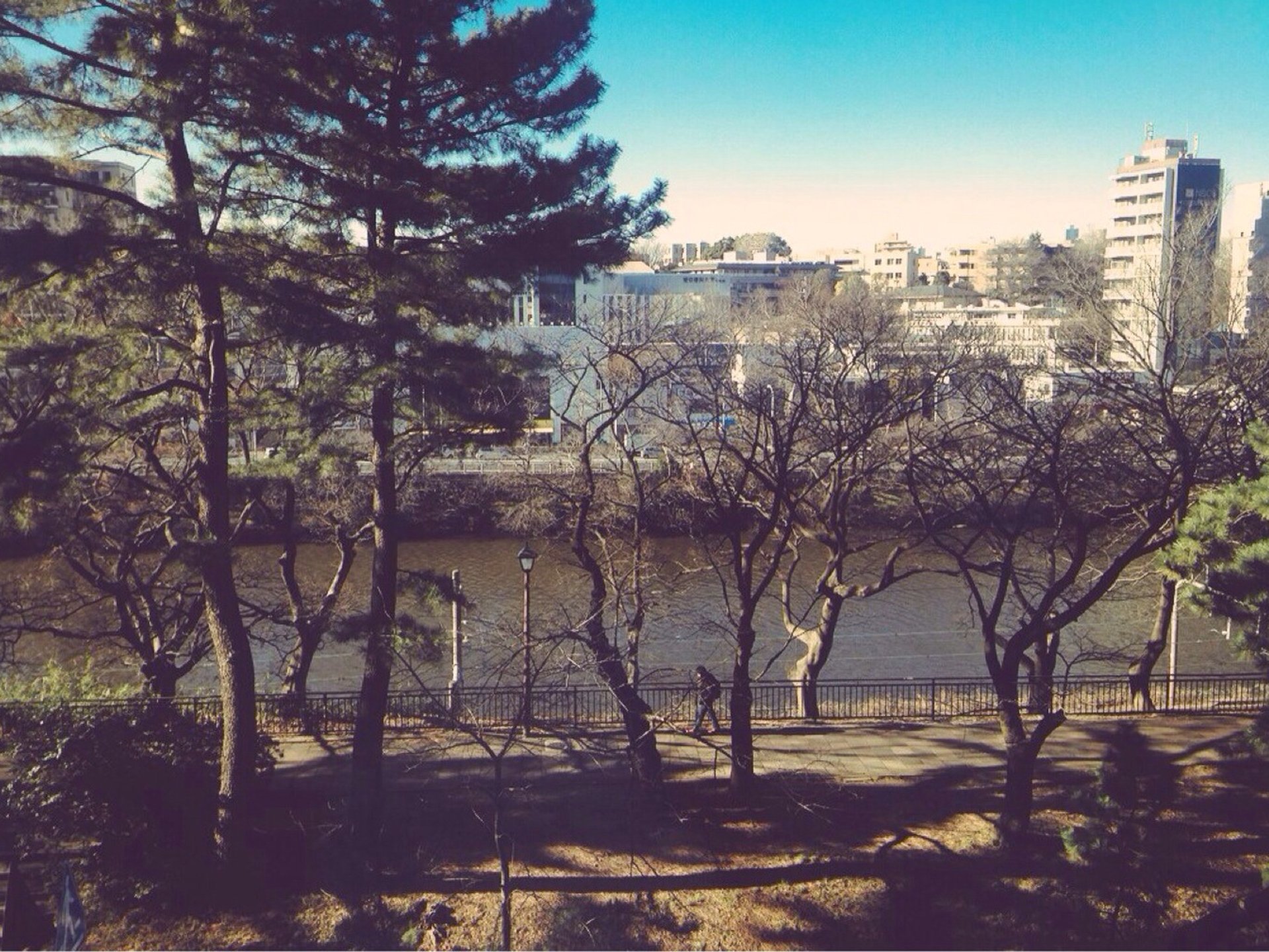 【秋・冬のお散歩プラン】神楽坂・飯田橋のお散歩デートコース！パワースポットからランチ処まで♪