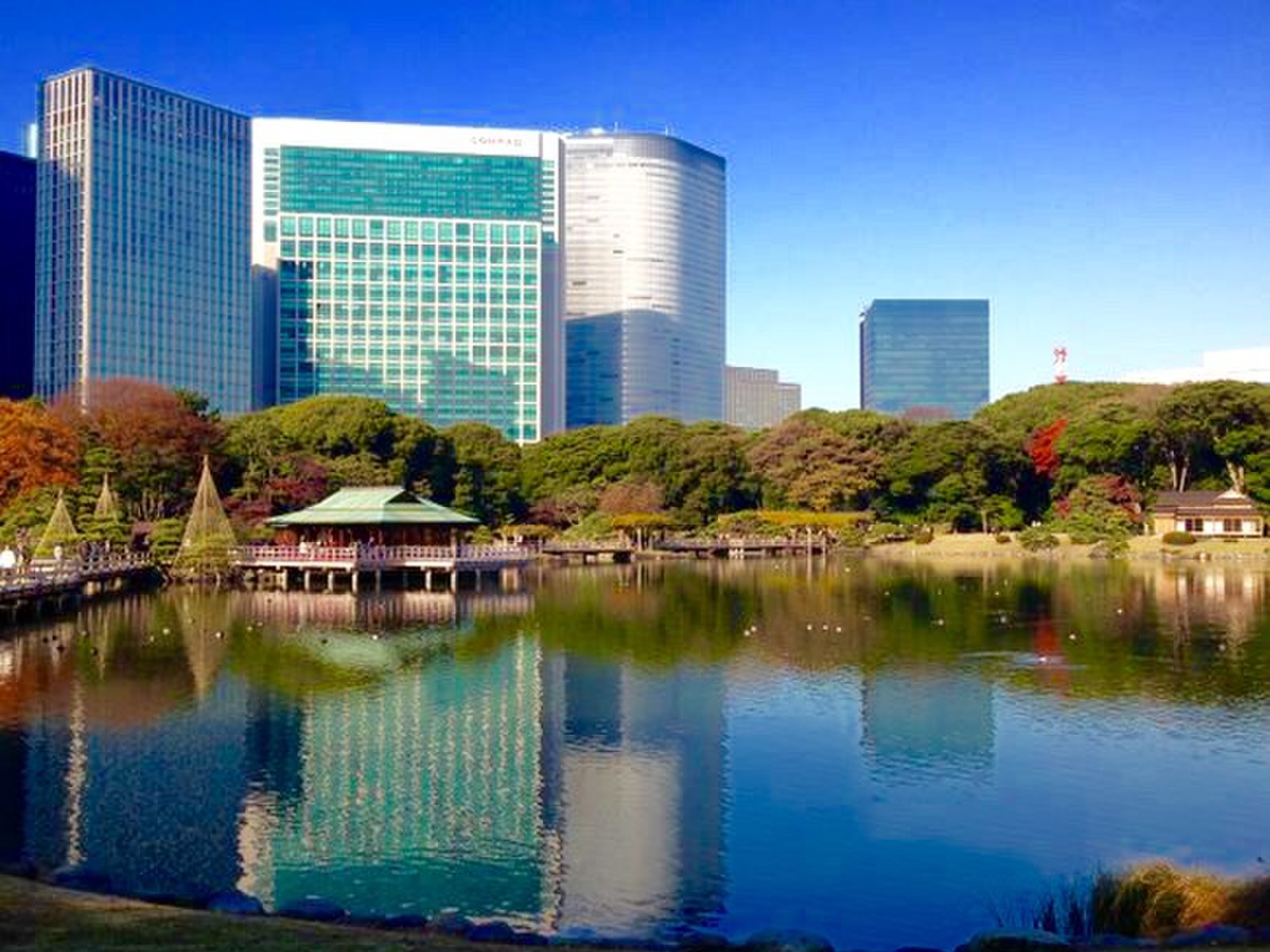 浜離宮恩賜庭園