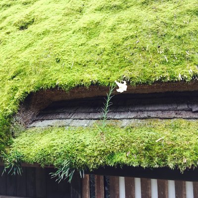 かやぶきの里