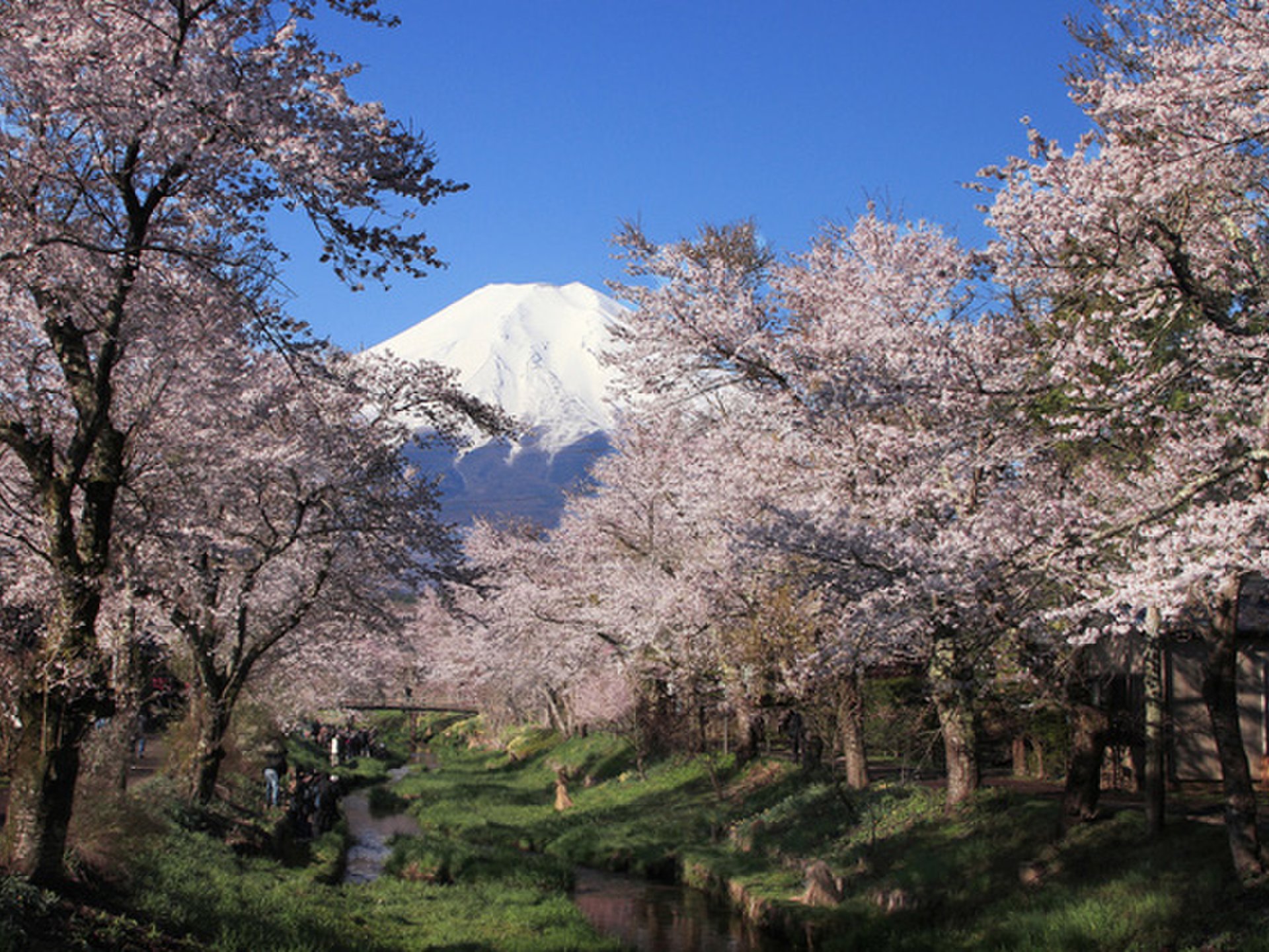 日本名所！穴場なのに絶景が見られる、おすすめスポット7選