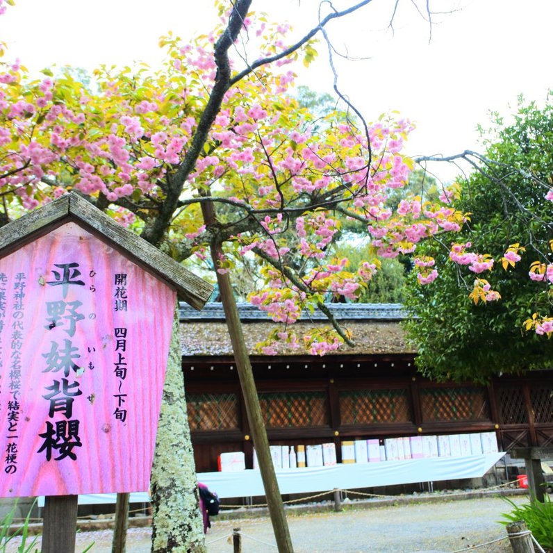 平野神社