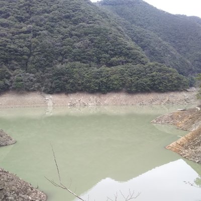 湖の駅